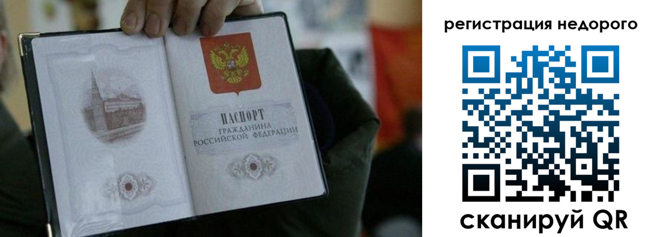 временная регистрация поиск в Смоленской области